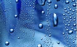 Fobia Específica: «Tengo&nbsp;miedo…»